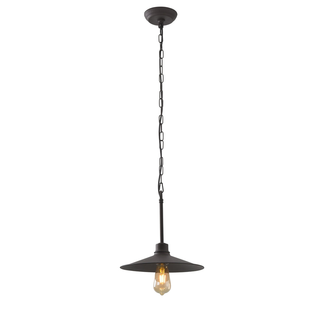 Clayton 1-Lt Pendant Light - Dark Coffee