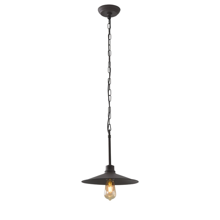 Clayton 1-Lt Pendant Light - Dark Coffee