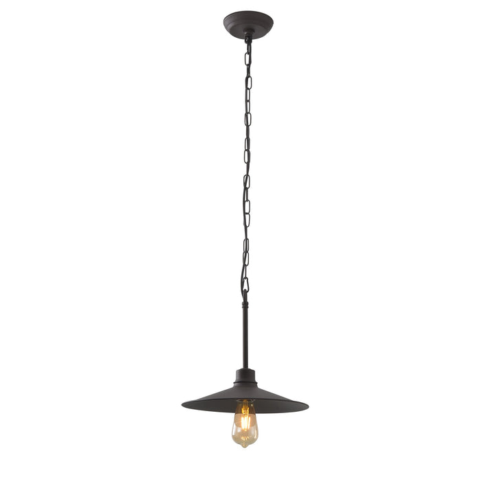Clayton 1-Lt Pendant Light - Dark Coffee